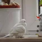 Lucky fröstelt ein wenig