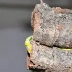 Na toll; ein schönes Versteck