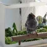 Na, sitzt meine Frisur noch?