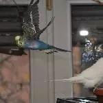 Ein kleiner Verdauungsflug