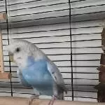 Hallo, ich bin Klekih-Petra