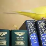 Muss mal nachlesen 