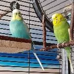 Fredi mit Nschotschi 