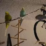 Paulas erster Ausflug