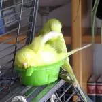 Platz ist in der kleinsten Wanne