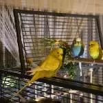 Willkommen Putschi und Kleiner Adler