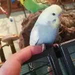 Händchen halten, oder eher Füßchen?