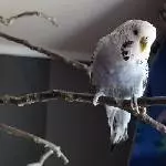 Ich heiße Rainy
