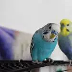 Petri und Frederic mal draußen