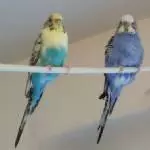 Entspannte Damen