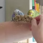 Blue u Loki beim geschwisterlichen Teilen