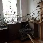 Aus dem Welli-Zimmer 
