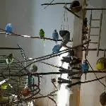 Buntes Treiben 