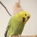Fotoshooting die Zweite