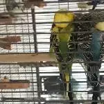 Oskar und Emmchen <3