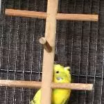 Ich bin versteckt