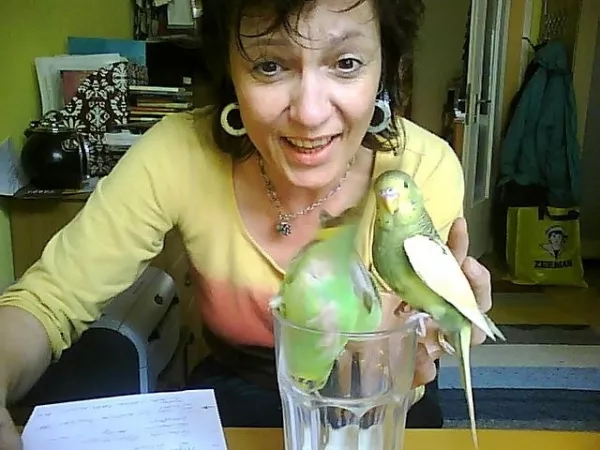 Wellensittich-Bild: Lustig und lästig, als Trulla und Heini die Latte Macchiato auch für sich entdeckten, im Frühling 2011 etwa