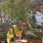 Herbststimmung mit Trulla und Heini 