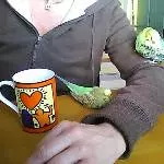 Mittagsschläfchen am Arbeitsplatz
