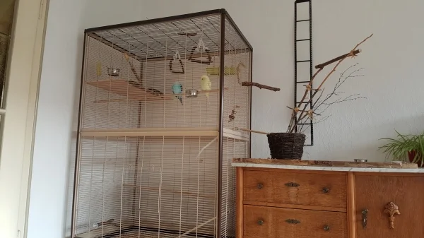 Wellensittich-Bild: Endlich haben die zwei ihren neuen Käfig! Hatten jetzt seit Donnerstag die Wahl zwischen neuem Käfig und Wohnzimmer, jetzt hab ich den Käfig das erste Mal zu gemacht, damit sie sich einleben und eingewöhnen..