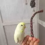 Ich bin Filou