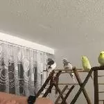 Wir haben auf dich gewartet