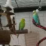 Freddy und Coco in ihrem Zuhause
