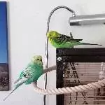 Gemütliches Chillen