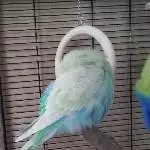 Immer schön flauschig bleiben!