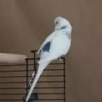 Pixel, zeig dich doch mal!