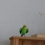 Puh, ist das heiß!