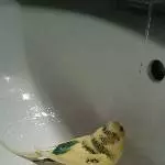 Badespaß mit Pucky