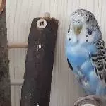 Ich bin soo süß