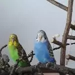 Hier ist es gemütlich