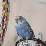 Das ist mein Essen