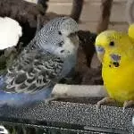 Besprechungsrunde