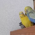 Was ist das denn