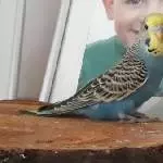 Pete, unser Neuzugang