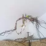 Raubtier Fütterung