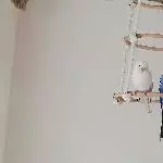 Pärchenzeit 