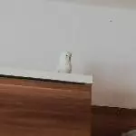 Storm solo 