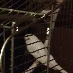 Storm auf ihren Seil