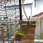 Die Knabbertreppe birgt viele Überraschungen