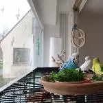 Versammlung ums gesunde Grün