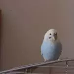 Das ist Felix 