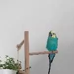 Meine neue Aussichtsplattform