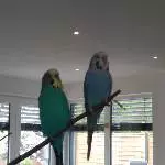 Neue Freundschaft ist immer gut