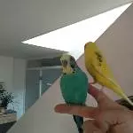 Sag cheeeese