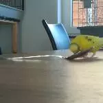 Löffel Löffel auf dem Tisch
