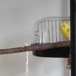 Wenn baden zur Nebensache wird